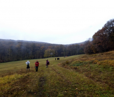 20181125_mecsek_190