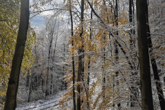 25.11.2023. - Papuk trekk and trail