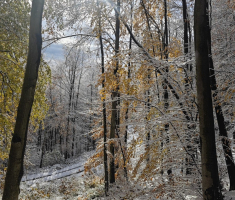 20231125_papuk_trekk_and_trail_010