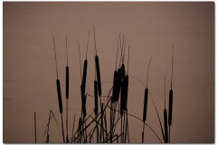 25.12.2011. Slatinsko prigorje