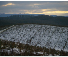 prigorje_00005