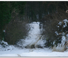 prigorje_00009