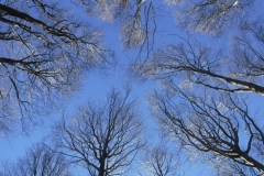 25.12.2017. - Christmas hiking trip