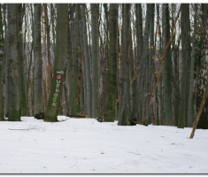 Zvecevo_Jankovac_00028