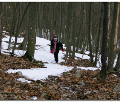 Zvecevo_Jankovac_00038