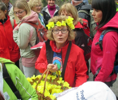 20170326_papucki_jaglaci_013