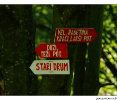 Kojim putem...