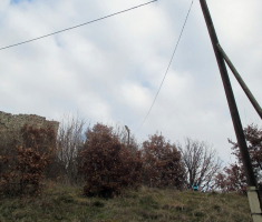 20161126_papuk_trekk_and_trail_028