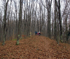 20161126_papuk_trekk_and_trail_030