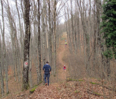 20161126_papuk_trekk_and_trail_031