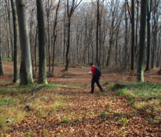 20161126_papuk_trekk_and_trail_035