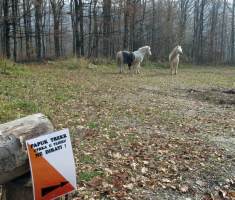 20161126_papuk_trekk_and_trail_036