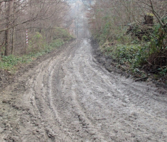 20161126_papuk_trekk_and_trail_039
