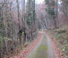 20161126_papuk_trekk_and_trail_046