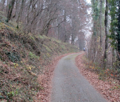 20161126_papuk_trekk_and_trail_047