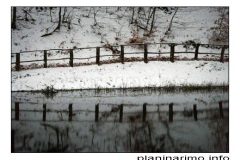26.12.2008. Papuk