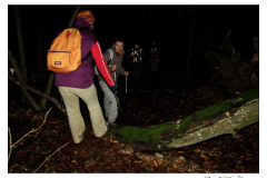 26.12.2009. Papuk
