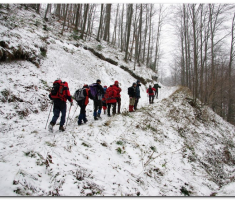 ispo_005