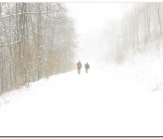 ispo_027
