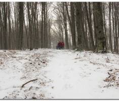 ispo_029
