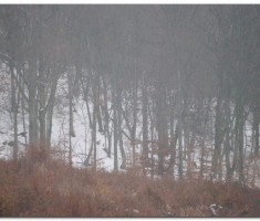 ispob_00006