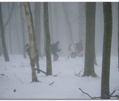 ispob_00036
