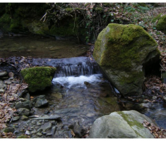 planinarimo_klupica_020