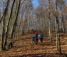 20161226_bozicni_krndija_trail_028