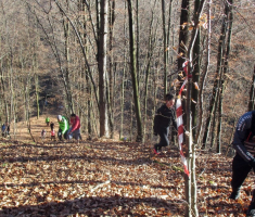 20161226_bozicni_krndija_trail_030