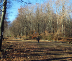 20161226_bozicni_krndija_trail_032