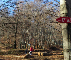 20161226_bozicni_krndija_trail_034