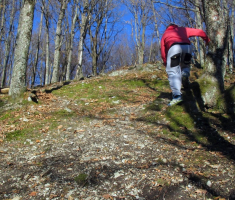 20161226_bozicni_krndija_trail_036
