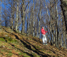 20161226_bozicni_krndija_trail_037