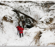 papuk_023a