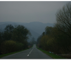 radetina_002
