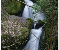 radetina_027