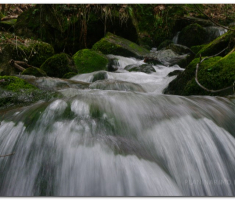 radetina_028