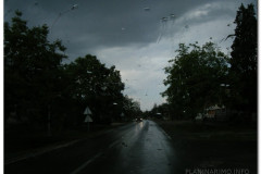 27.05.2012. - Papuk