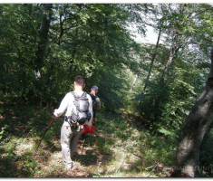 antinaPapuk_00015
