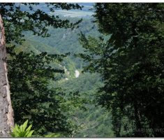 antinaPapuk_00016