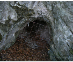 antinaPapuk_00019