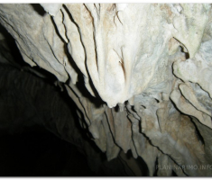 antinaPapuk_00023
