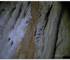 antinaPapuk_00024