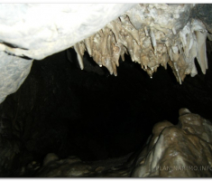 antinaPapuk_00025