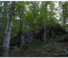 antinaPapuk_00028