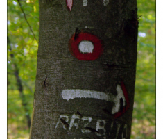 Razbito kolo
