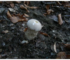 planinarimo_krdnija20131027_027