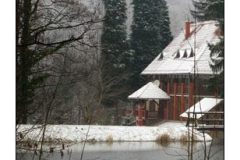 27.12.2008. Papuk