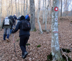 20151227_papuk_tocak_008