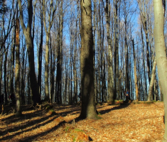 20151227_papuk_tocak_038